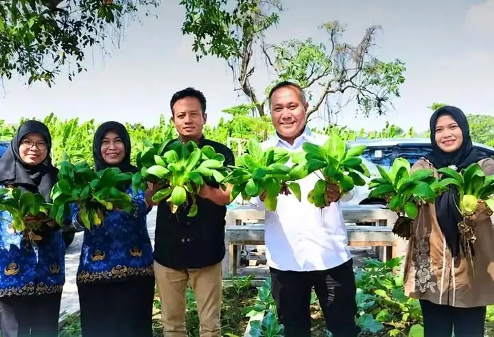 Panen Perdana Sayuran di Lingkungan Cabang Dinas Pendidikan Kabupaten Gresik