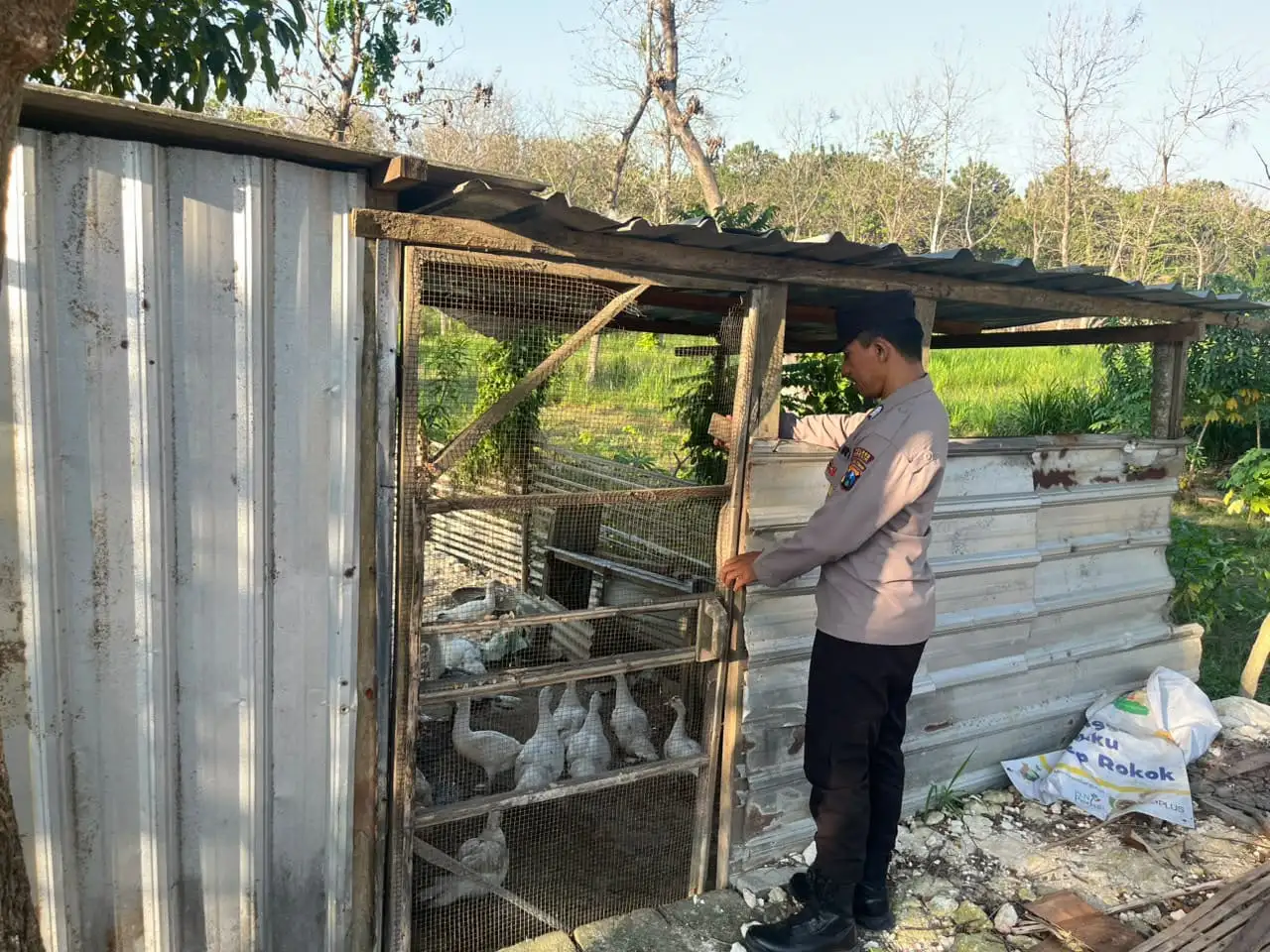 Polsek Panceng Cek Kandang Bebek Mentok, Dukung Program Ketahanan Pangan